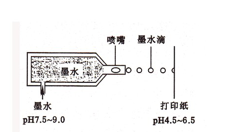 315K704658S0_500_看图王.png